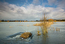 BUITEN BEELD Foto: 328600