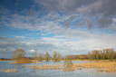 BUITEN BEELD Foto: 328601