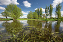 BUITEN BEELD Foto: 328617