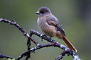 BUITEN BEELD Foto: 328641