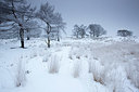 BUITEN BEELD Foto: 328652