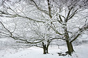 BUITEN BEELD Foto: 328654