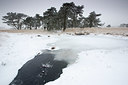 BUITEN BEELD Foto: 328655