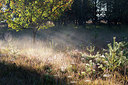 BUITEN BEELD Foto: 328668