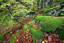 BUITEN BEELD Foto: 328693