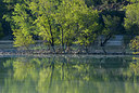 BUITEN BEELD Foto: 328697