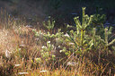 BUITEN BEELD Foto: 328736