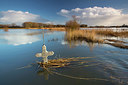 BUITEN BEELD Foto: 328765