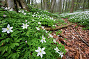 BUITEN BEELD Foto: 328776
