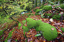 BUITEN BEELD Foto: 328827