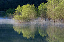 BUITEN BEELD Foto: 328832