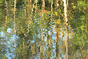 BUITEN BEELD Foto: 328909