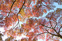 BUITEN BEELD Foto: 328918