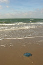BUITEN BEELD Foto: 328919
