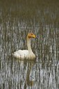 BUITEN BEELD Foto: 32000
