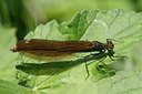 BUITEN BEELD Foto: 32063