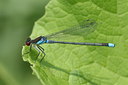 BUITEN BEELD Foto: 32085