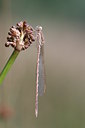 BUITEN BEELD Foto: 32087