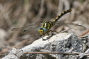 BUITEN BEELD Foto: 32100