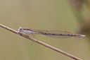 BUITEN BEELD Foto: 32107