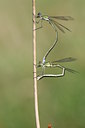 BUITEN BEELD Foto: 32116