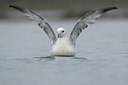 BUITEN BEELD Foto: 32143