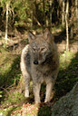 BUITEN BEELD Foto: 32180