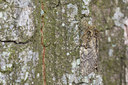 BUITEN BEELD Foto: 32189