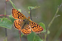 BUITEN BEELD Foto: 32193