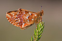 BUITEN BEELD Foto: 32198