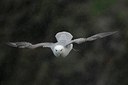BUITEN BEELD Foto: 32215