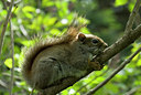 BUITEN BEELD Foto: 32291
