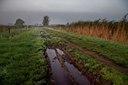 BUITEN BEELD Foto: 32346