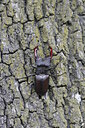 BUITEN BEELD Foto: 32462
