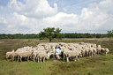 BUITEN BEELD Foto: 32480