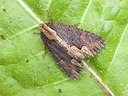 BUITEN BEELD Foto: 32504