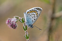BUITEN BEELD Foto: 32518