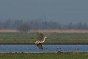 BUITEN BEELD Foto: 32586