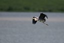 BUITEN BEELD Foto: 32587