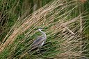 BUITEN BEELD Foto: 32590