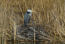 BUITEN BEELD Foto: 32596