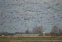 BUITEN BEELD Foto: 32600