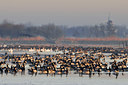 BUITEN BEELD Foto: 32607
