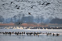 BUITEN BEELD Foto: 32611