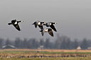 BUITEN BEELD Foto: 32630