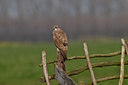 BUITEN BEELD Foto: 32649