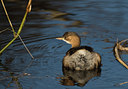 BUITEN BEELD Foto: 32655