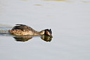 BUITEN BEELD Foto: 32682