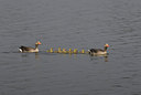 BUITEN BEELD Foto: 32700