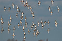 BUITEN BEELD Foto: 32786